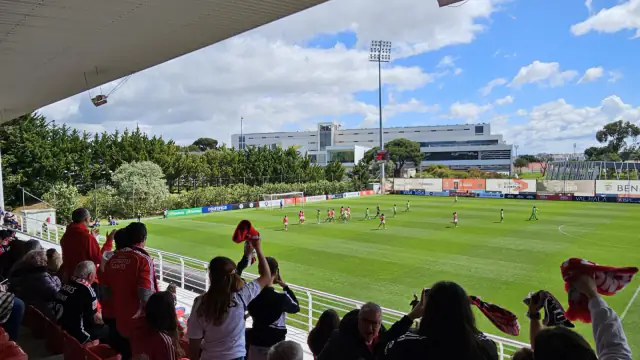 Adeptas e adeptos a celebrar na bancada durante um jogo de futebol feminino no Benfica Campus, no Seixal